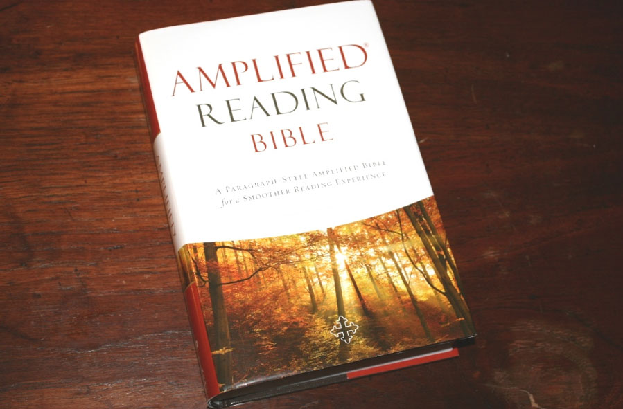 The Amplified Bible (AMP) 
